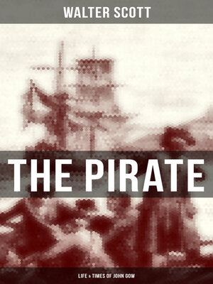 cover image of THE PIRATE